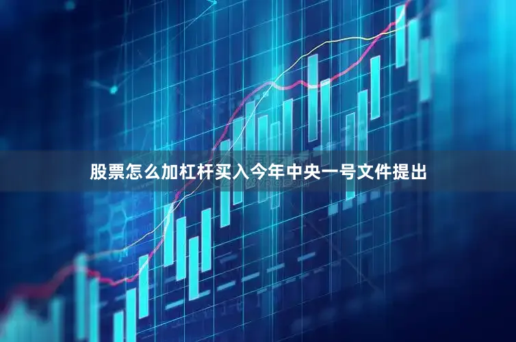 股票怎么加杠杆买入　　今年中央一号文件提出